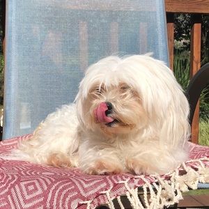 Meet your Posher, Irmak